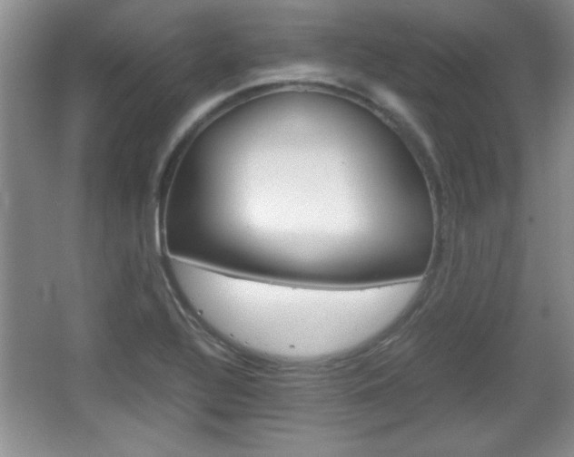 X0000067831320200604130908