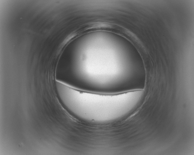 X0000067831321200604130908
