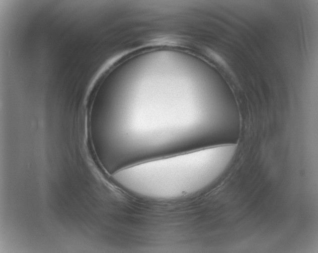 X0000067831323200604130908