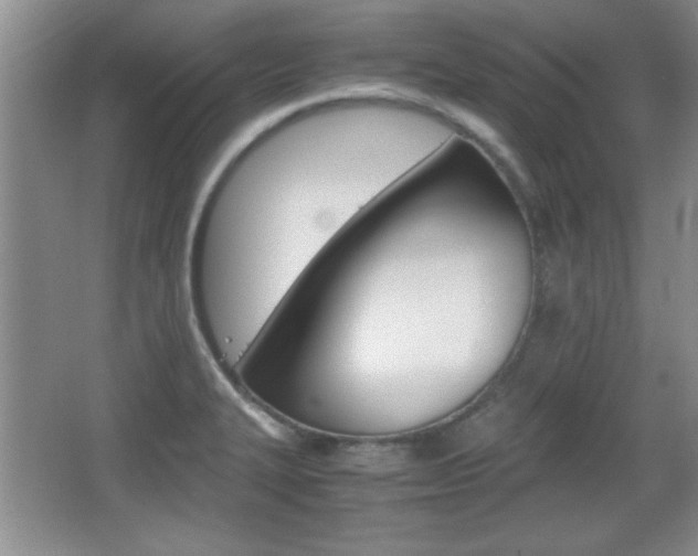 X0000067831327200604130908