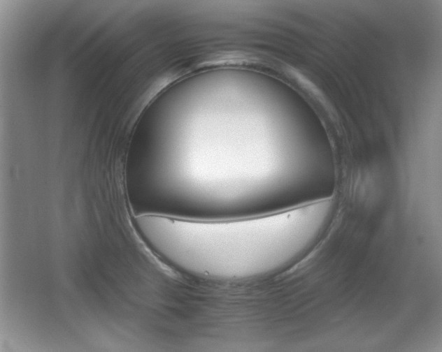 X0000067831329200604130908