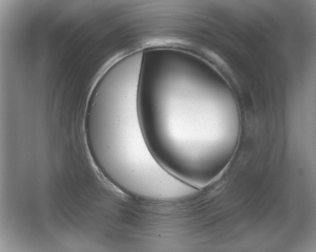 X0000067831330200604130908