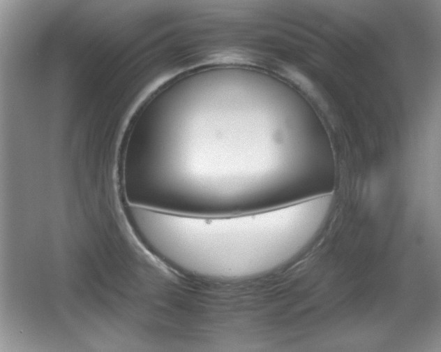 X0000067831331200604130908