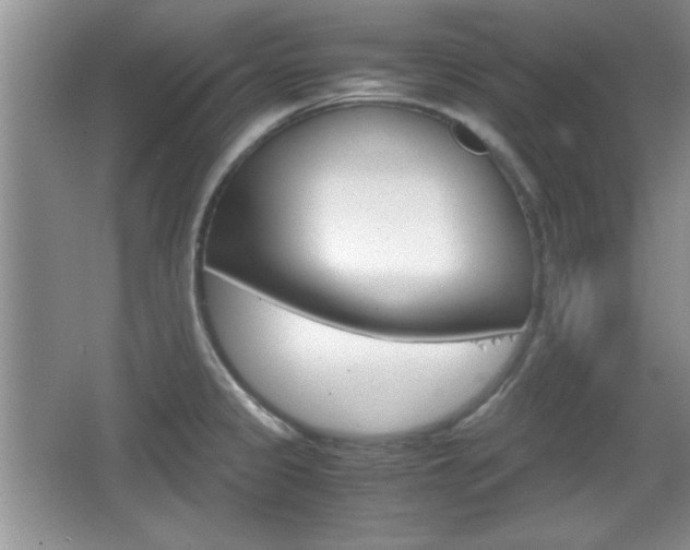 X0000067831333200604130908