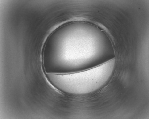 X0000067831335200604130908