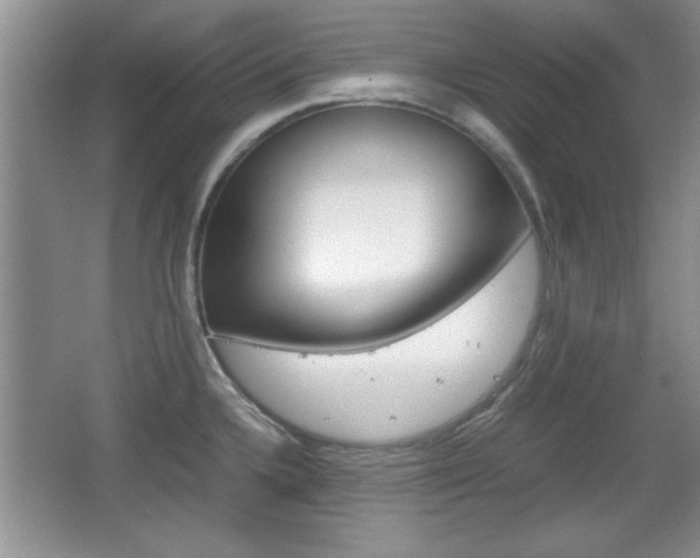 X0000067831336200604130908
