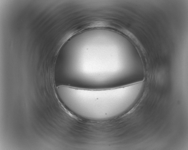 X0000067831337200604130908