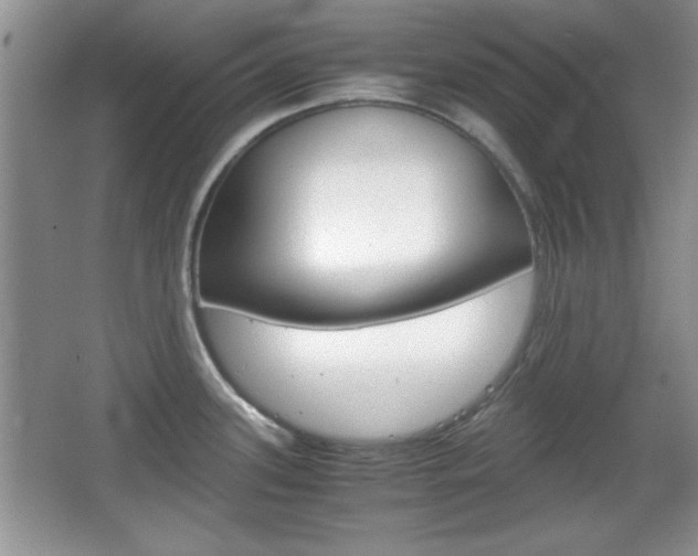 X0000067831339200604130908