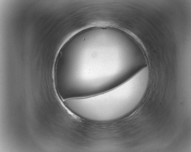X0000067831343200604130908