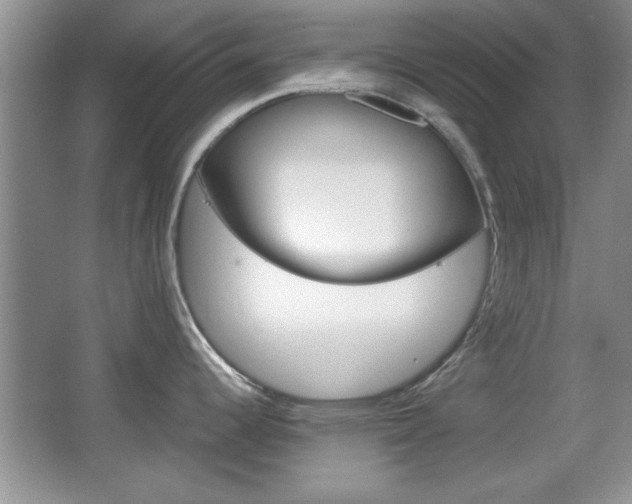 X0000067831344200604130908