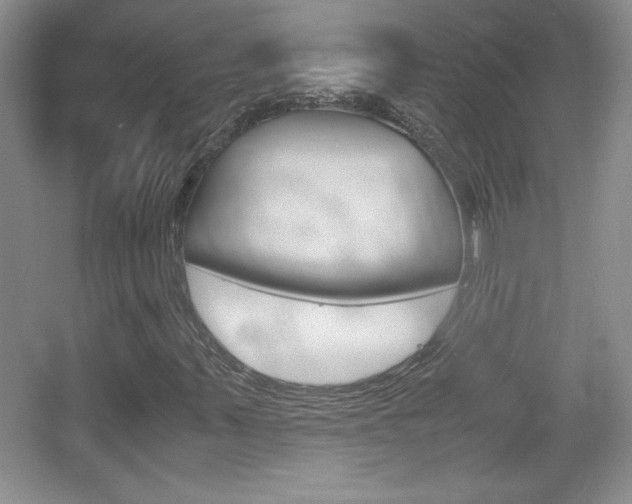 X0000067831347200604130908