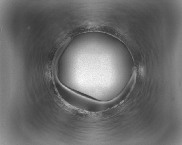 X0000067831348200604130908