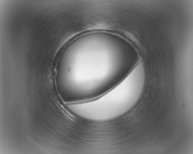 X0000067831356200604130907