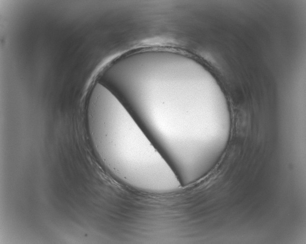 X0000067831358200604130907