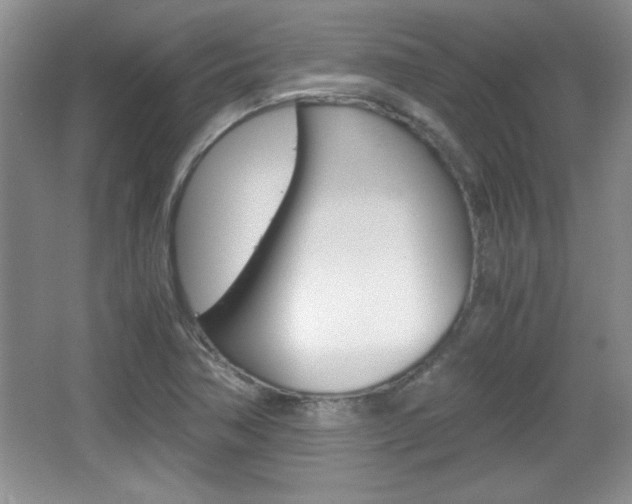 X0000067831362200604130907