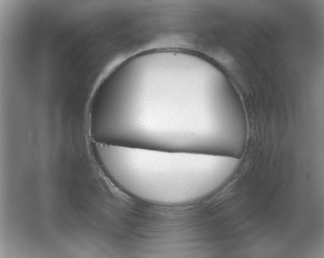 X0000067831366200604130907