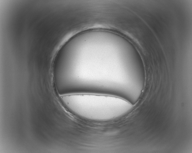 X0000067831367200604130907