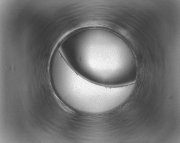 X0000067831372200604130907