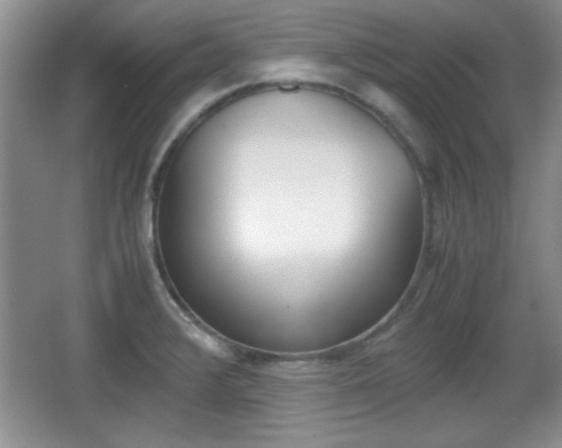 X0000067831376200604130907