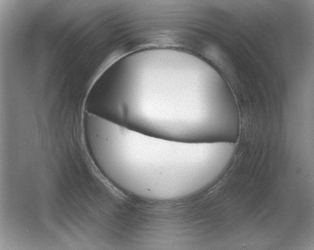 X0000067831378200604130907