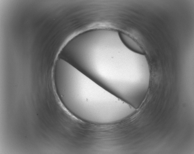 X0000067831382200604130907
