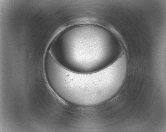 X0000067831384200604130907