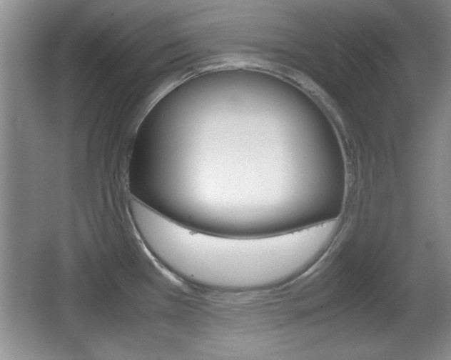X0000067831385200604130907