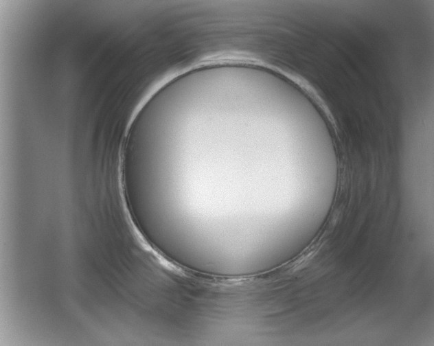 X0000067831390200604130907