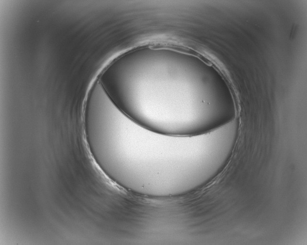 X0000067831392200604130907