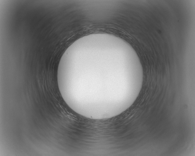 X0000067831394200604130906