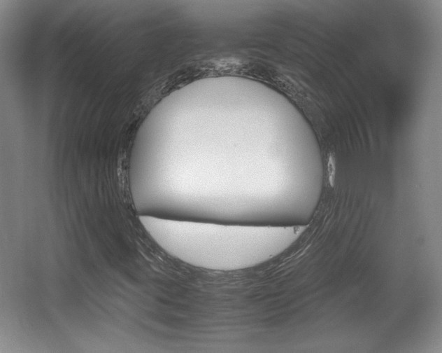 X0000067831395200604130906