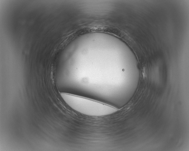X0000067831396200604130906