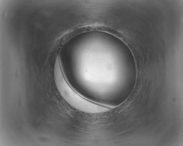X0000067831398200604130906