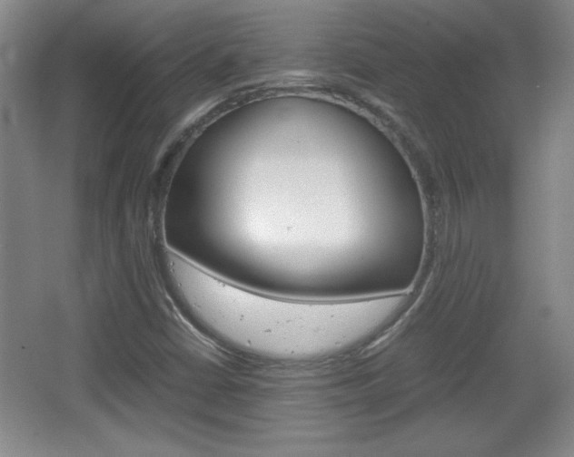 X0000067831402200604130906