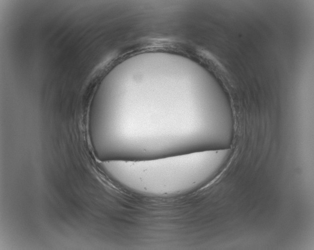 X0000067831403200604130906