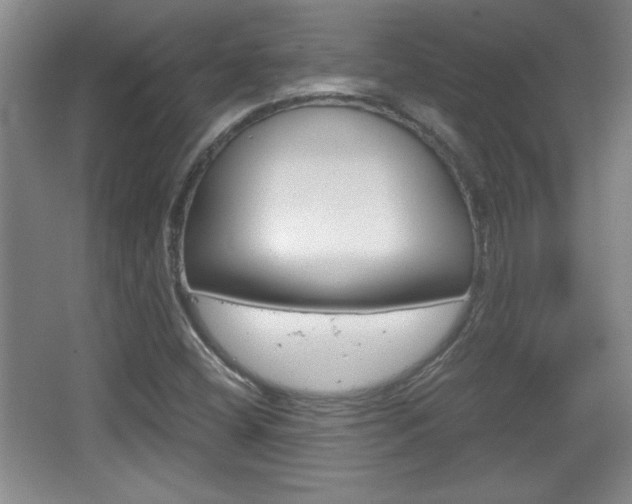 X0000067831404200604130906