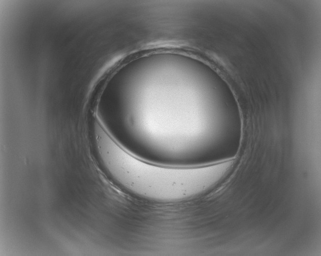 X0000067831406200604130906