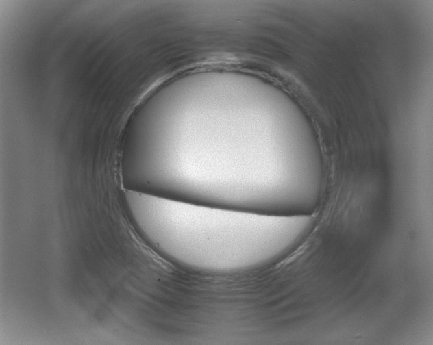 X0000067831409200604130906