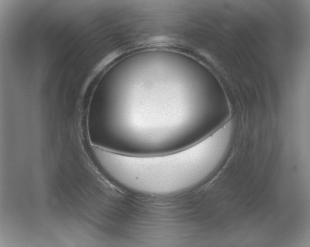 X0000067831410200604130906