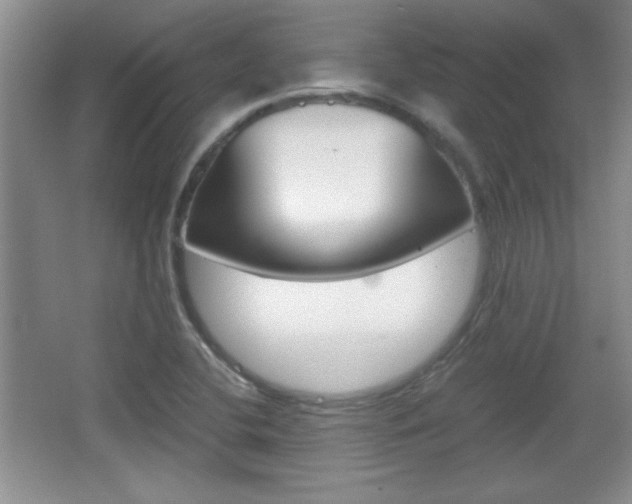 X0000067831412200604130906