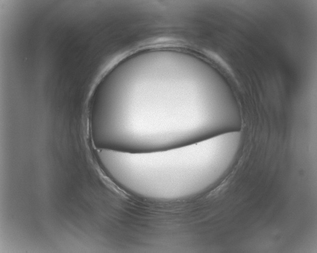 X0000067831413200604130906