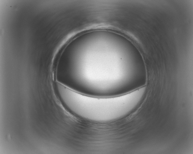 X0000067831414200604130906