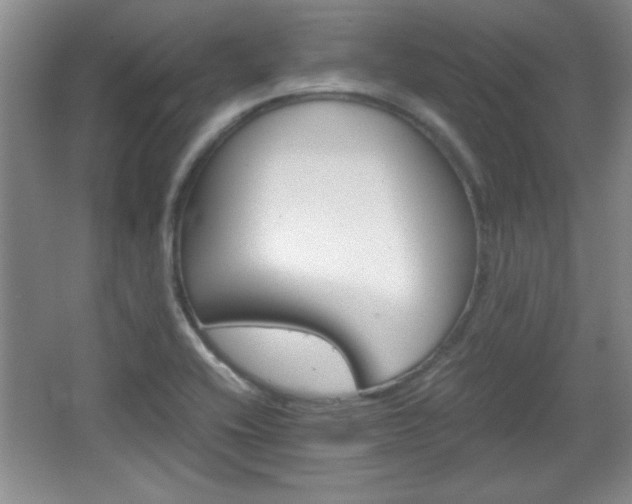 X0000067831416200604130906