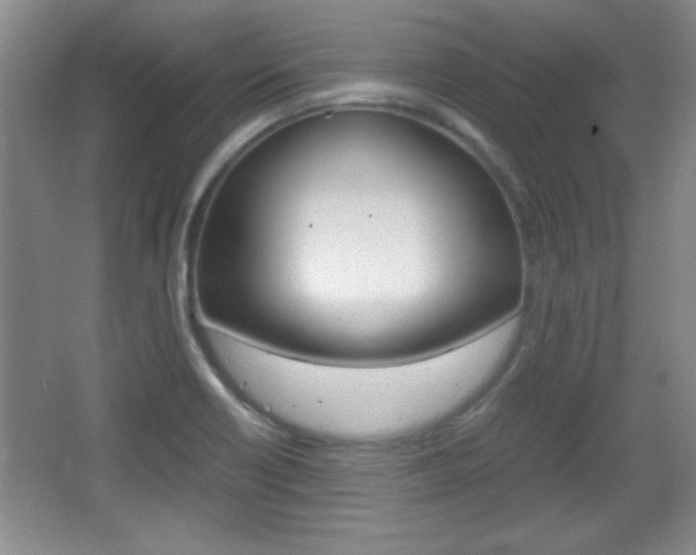 X0000067831418200604130906