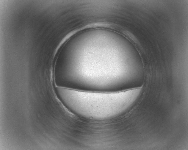 X0000067831420200604130906