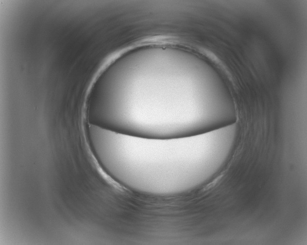 X0000067831421200604130906