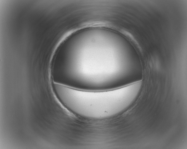X0000067831424200604130907