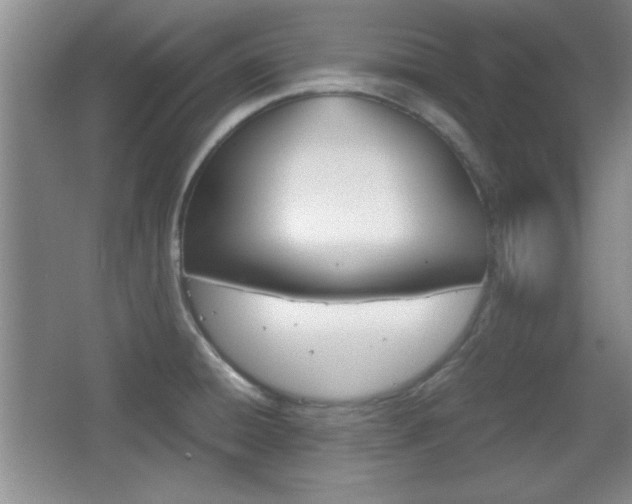 X0000067831428200604130907