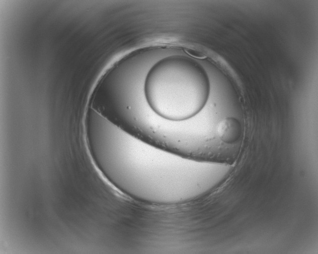 X0000067831432200604130907