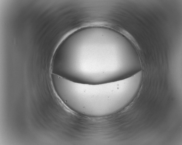 X0000067831436200604130907